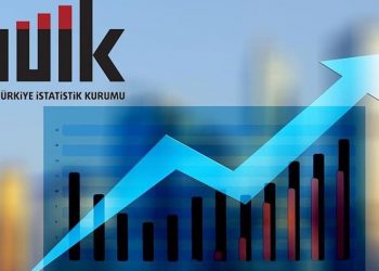 التضخم في تركيا يبلغ 33.52%.. الأغذية والسكن الأعلى ارتفاعًا