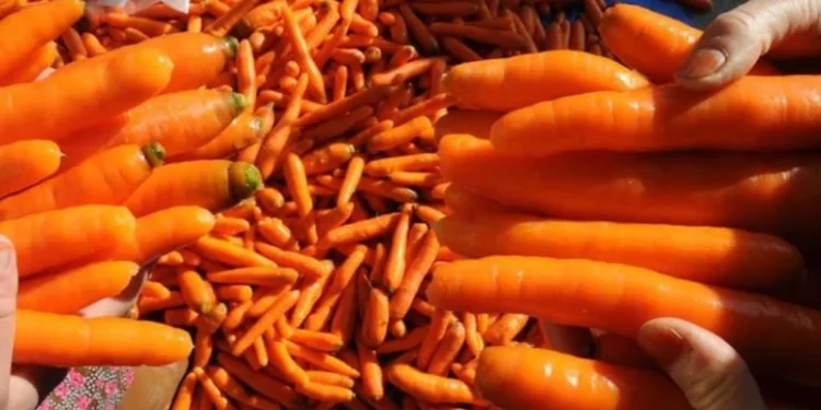 رومانيا تعيد شحنات جزر إلى تركيا لتشبعها بالسموم!