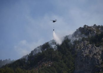 تركيا.. حرائق الغابات تستمر في سينوب