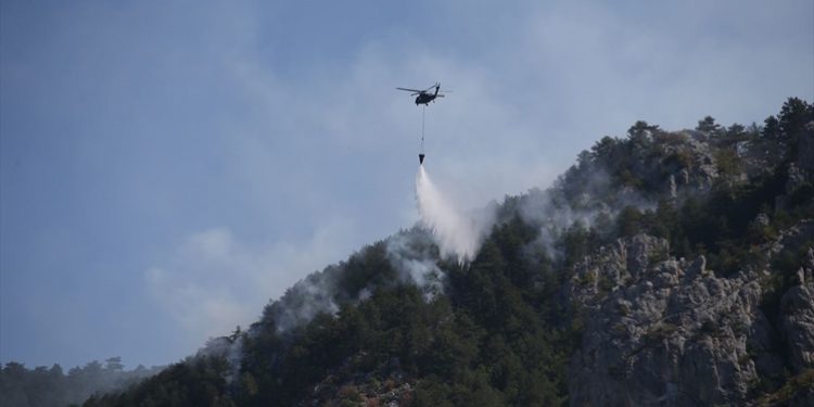 تركيا.. حرائق الغابات تستمر في سينوب