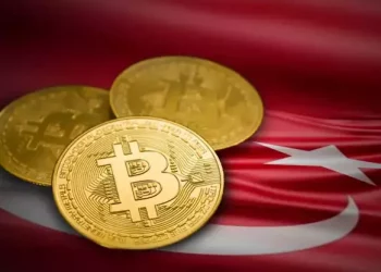 لماذا يتجاهل الأتراك مخاطر سوق العملات المشفرة؟