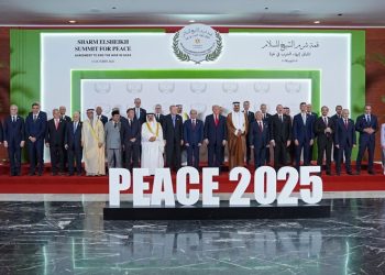 نائب الرئيس: أردوغان يقود جهود السلام وإعادة إعمار غزة