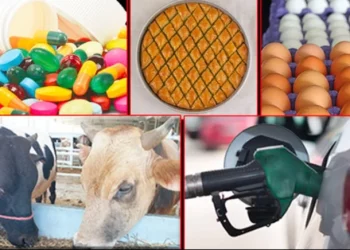 خبير: تركيا ستعاني من زيادة في الضرائب عام 2026