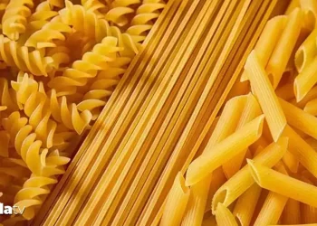 تركيا تحتفل باليوم العالمي للمعكرونة