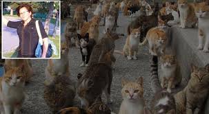 وفاة امرأة مع 30 قطة في حريق منزلي بإزمير