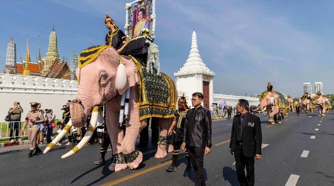 مسيرة بالأفيال الوردية تكريما للملكة الأم الراحلة في تايلاند