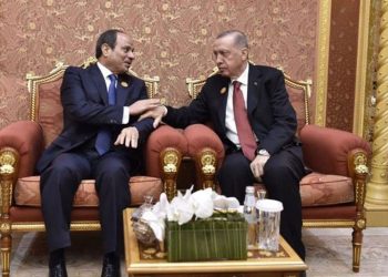 مصر تعزي تركيا في حادث الطائرة العسكرية