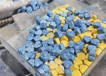 15 مليون مدمن للمخدرات في تركيا!