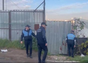 ضبط مسلخ لذبح الحمير في قلب إسطنبول! 