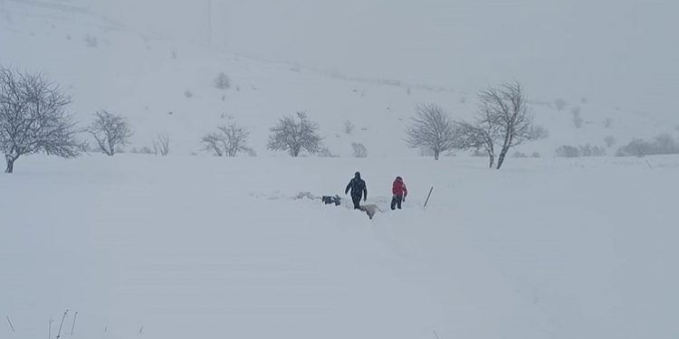 ثلوج وعواصف تجمّد الدراسة في تركيا