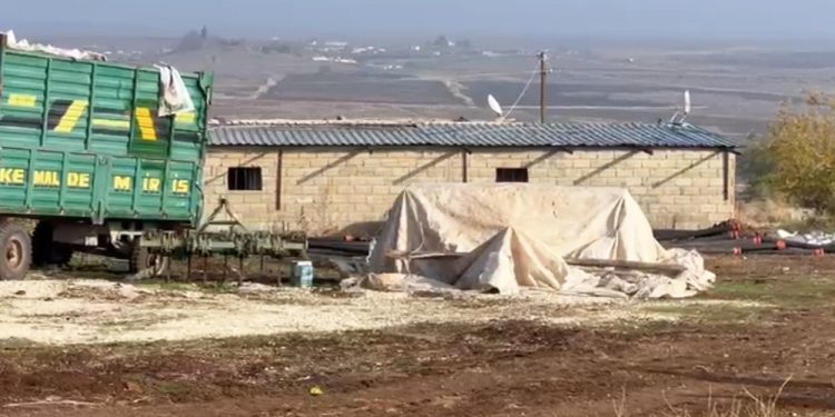 تركيا.. “مزرعة” سرية لتعدين عملات مشفرة داخل حظيرة أغنام!