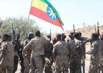 هل تنشر الولايات المتحدة قوات أثيوبية في قطاع غزة؟