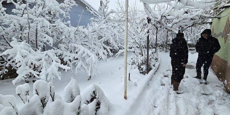 5 ولايات تركية تشهد تساقطًا كثيفًا للثلج