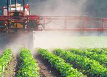 تقرير أوروبي يكشف تراجع معايير سلامة الغذاء في تركيا