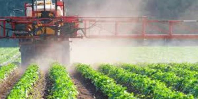 تقرير أوروبي يكشف تراجع معايير سلامة الغذاء في تركيا