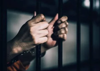 تركيا.. بدائل للحبس وإعادة هيكلة شاملة لمواجهة ظاهرة “العودة للجريمة”