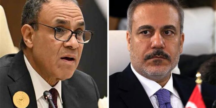 وزير خارجية مصر يناقش مع نظيره التركي تشكيل لجنة تكنوقراط لإدارة غزة