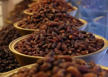 تحذيرات من تسويق التمور الإسرائيلية كمنتجات فلسطينية