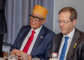 أرض الصومال: قد نمنح قواعد عسكرية للولايات المتحدة وإسرائيل