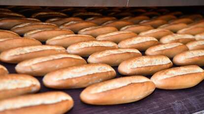 50 مليون تركي لا يجدون الغذاء الصحي