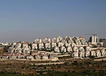 جوجل وميتا نشرتا أكثر من 100 ألف إعلان لشركات بناء المستوطنات