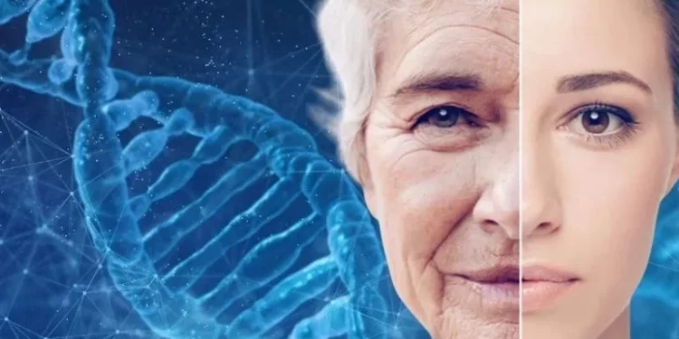 روسيا تعتزم تطوير “لقاح” جيني لمكافحة الشيخوخة 