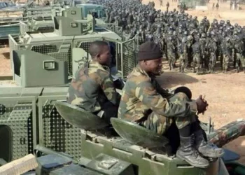 تركيا تدرب قوات الجيش النيجيري على أراضيها