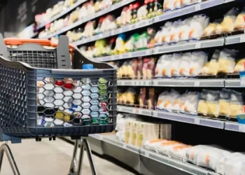 خبير اقتصادي: من شبه المستحيل هبوط التضخم في تركيا دون 35%