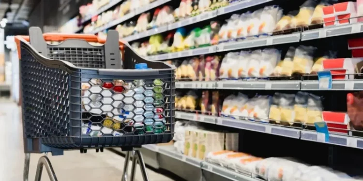 خبير اقتصادي: من شبه المستحيل هبوط التضخم في تركيا دون 35%