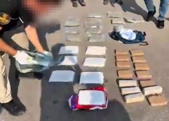 تركيا.. ضبط 28 كجم مخدرات بحوزة طبيب في هكاري