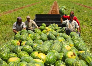 بلدة تركمانية تستقبل عدد زوار يفوق سكانها 30 مرة