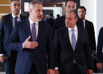 وزيرا خارجية مصر وتركيا يبحثان تفعيل الآلية الرباعية مع باكستان والسعودية